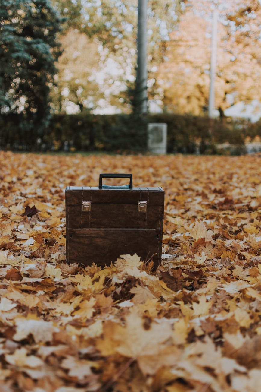 photo of suitcase on leaves