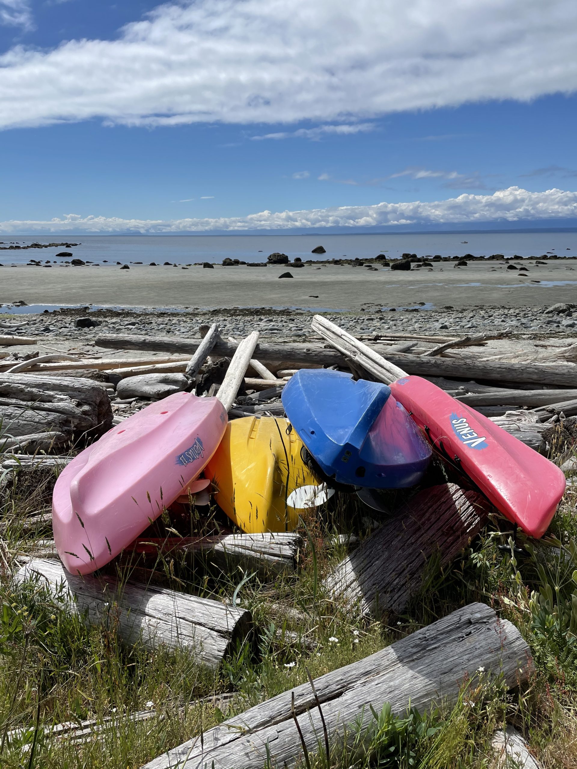 Discovering Paradise A Guide to Savary Island's Hidden Gems